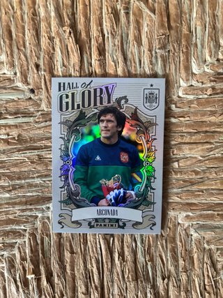 Cromo de fútbol – Arconada Hall of Glory