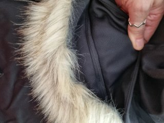 Plumífero Zara con capucha y estampado