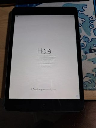 iPad mini Negro/Gris