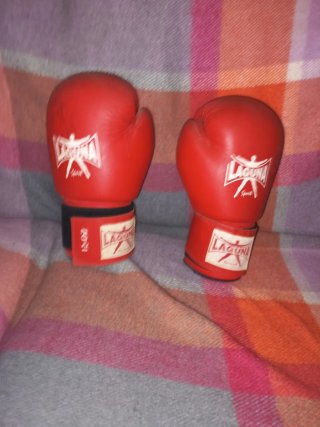 Guantes de Boxeo Laguna 12 oz Firmados Poli Díaz