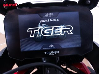 TRIUMPH TIGER 900 GT PRO