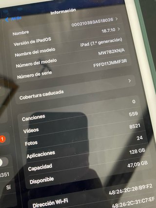 iPad Verde con Funda y Lápiz