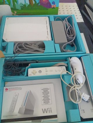 Nintendo Wii completa +1  juego Monster Hunter