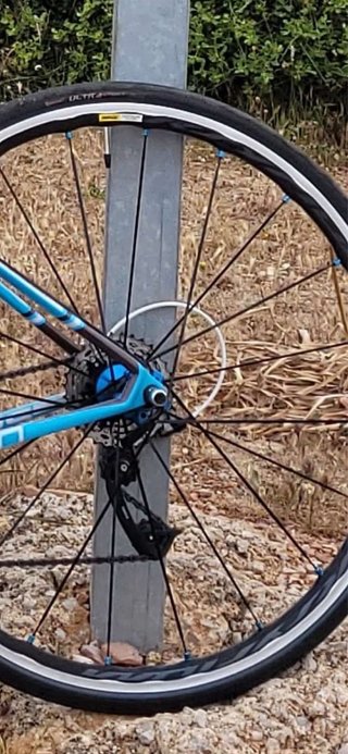 Bicicleta Carretera Focus Cayo Carbono Talla XS