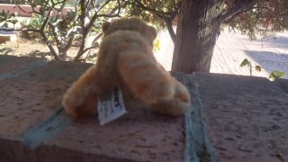 Peluche gattino arancione marroncino