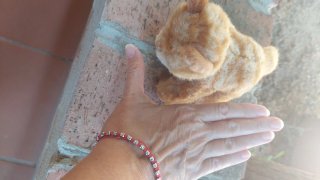 Peluche gattino arancione marroncino