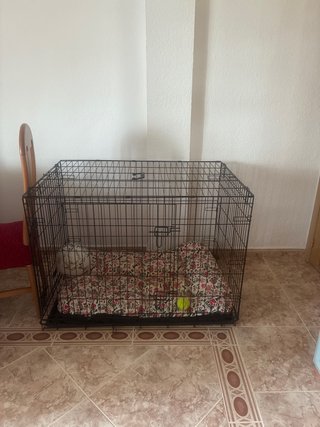 Jaula para perros XL