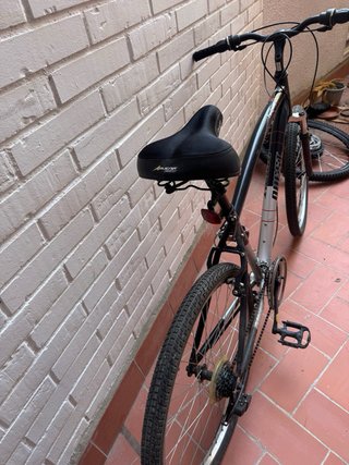 Bicicleta negra