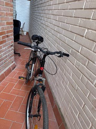 Bicicleta negra