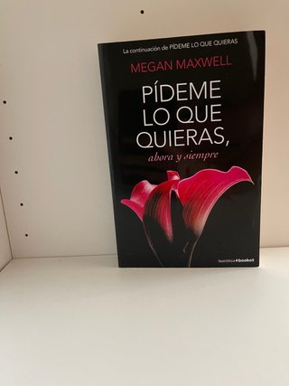 Libro pideme lo que quieras ahora y siempre