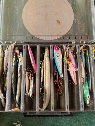 Lote jig Daiwa Saltist MQ 5000D + Caña Hart Miura