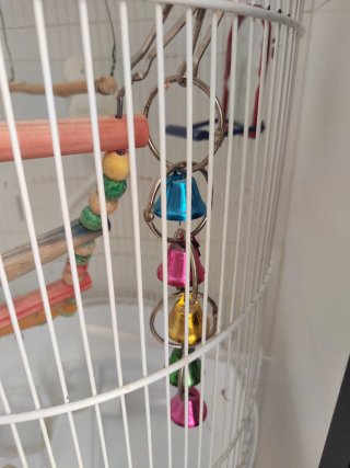 Jaula grande para pájaros con pie
