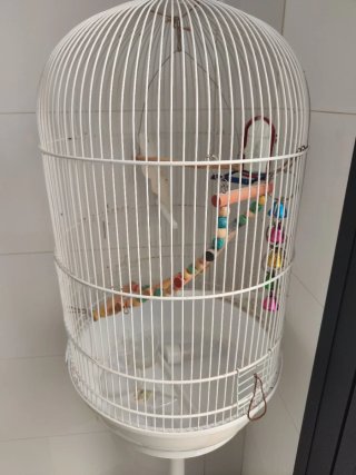 Jaula grande para pájaros con pie