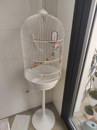 Jaula grande para pájaros con pie