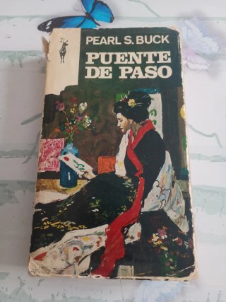 Puente de paso