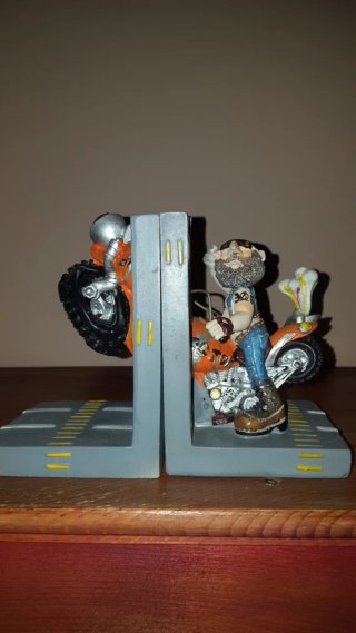 Fermalibri biker
