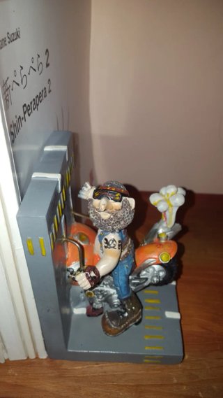 Fermalibri biker