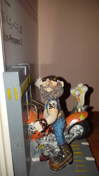 Fermalibri biker