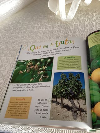 Libro Mi enciclopedia de la naturaleza