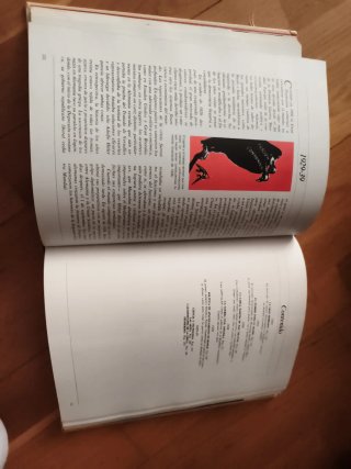 Libro