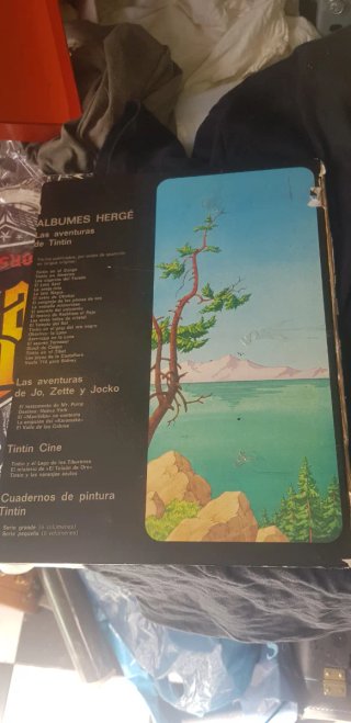 Libro tintin