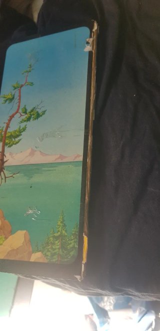 Libro tintin