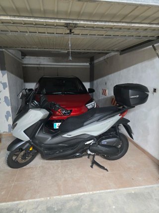 Honda Forza 125cc 2025