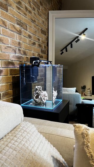 Acuario Marino 30L Completo + Sicce + Hanna