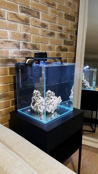 Acuario Marino 30L Completo + Sicce + Hanna