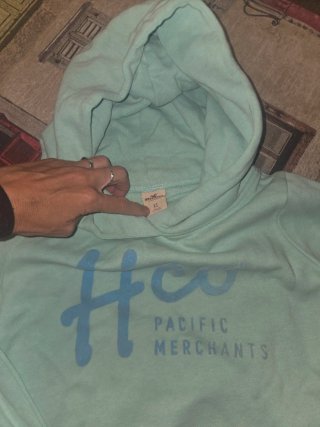 Sudadera Hollister Mujer Teal