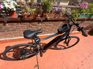 Bicicleta Eléctrica Riverside 500E Talla XL
