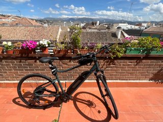 Bicicleta Eléctrica Riverside 500E Talla XL