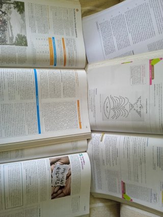 Lote 3 libros 2°Bachillerato ANAYA/Algaida. LOMLOE