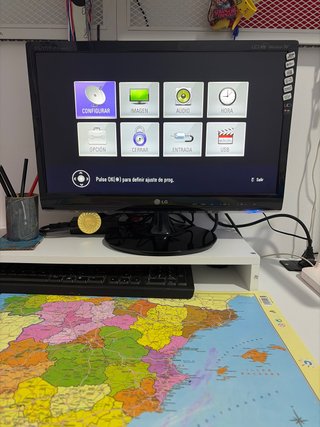 Monitor LG 20 Negro