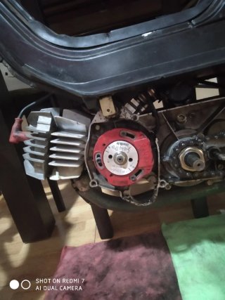 Derbi Variant Start pedales