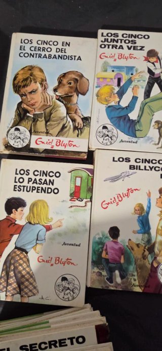 12 libros serie lis cincos