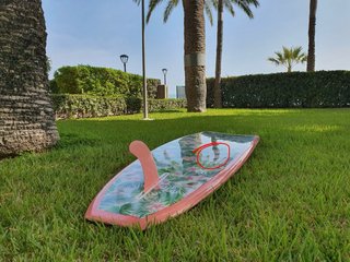 Tabla de Surf Malibu 8,2” (fibra)
