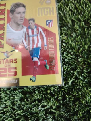 Cromo Panini Stars on 25 Fernando Torres