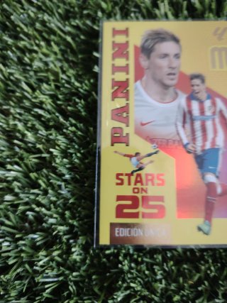 Cromo Panini Stars on 25 Fernando Torres