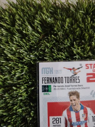 Cromo Panini Stars on 25 Fernando Torres