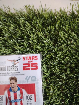 Cromo Panini Stars on 25 Fernando Torres