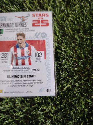 Cromo Panini Stars on 25 Fernando Torres
