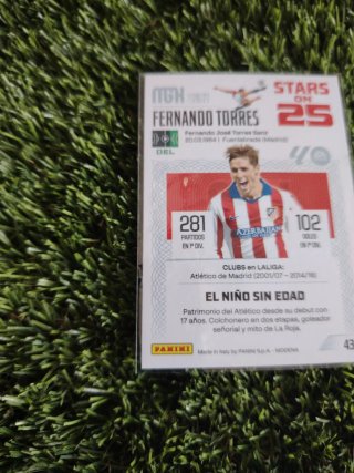 Cromo Panini Stars on 25 Fernando Torres