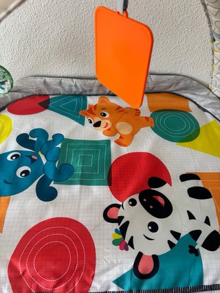 Gimnasio Bebé Baby Einstein Actividades