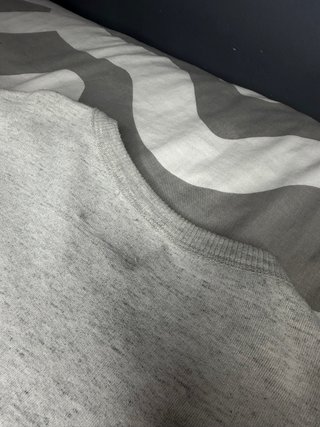 Sudadera Zara Niño Estampado Tigre Bicicleta