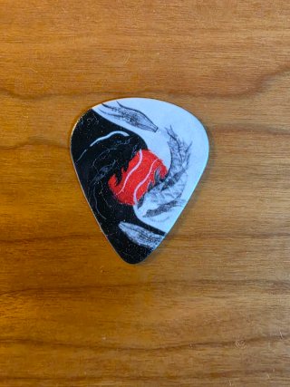 Conjunto de 6 púas de guitarra nuevas