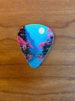 Conjunto de 6 púas de guitarra nuevas