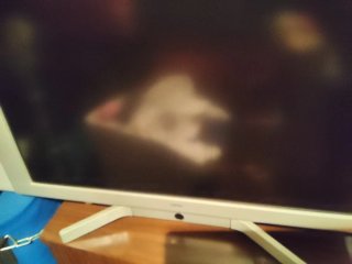 Televisor Loewe Concept L 32 con HDMI y Mando