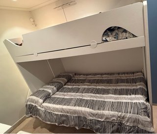 Litera con cama abatible abajo