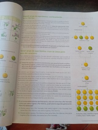 Biología y Geología, 4 Secundaria, Andalucía Re...